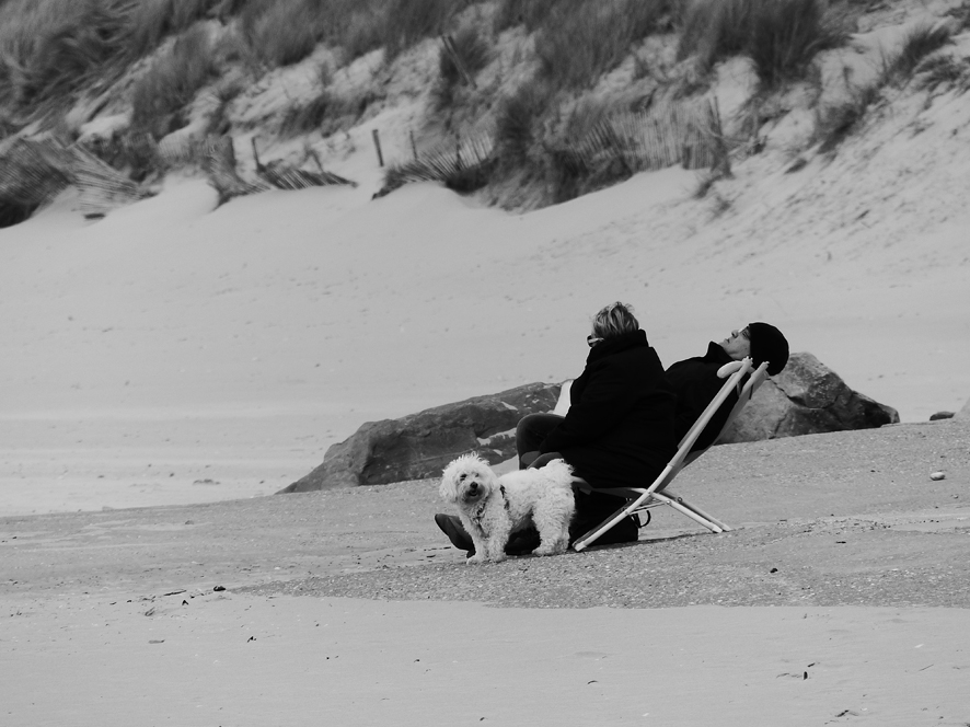 La mer du Nord en hiver